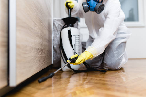 Best Residential Pest Control  in Perkins, OK
