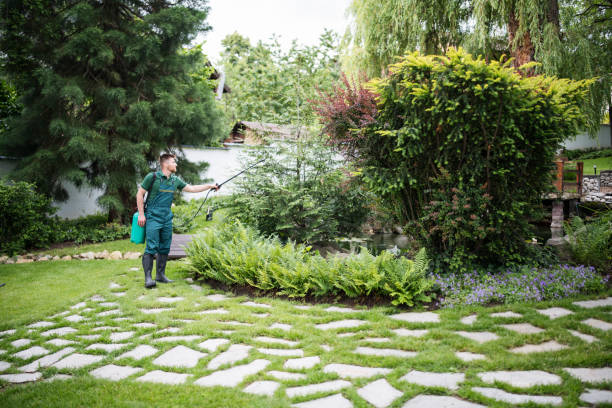 Best Ant Control Services  in Perkins, OK
