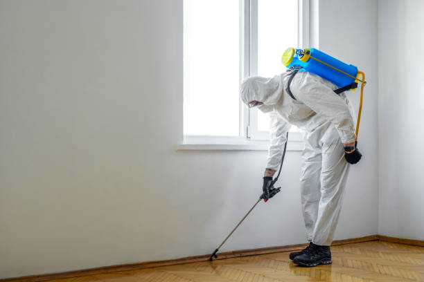 Best Flea Control Services  in Perkins, OK