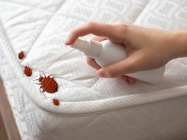 Best Affordable Pest Control Services  in Perkins, OK