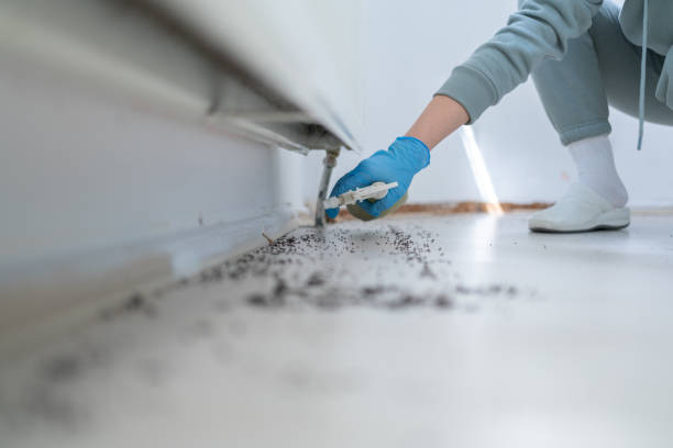 Trusted Perkins, OK Pest Control Experts